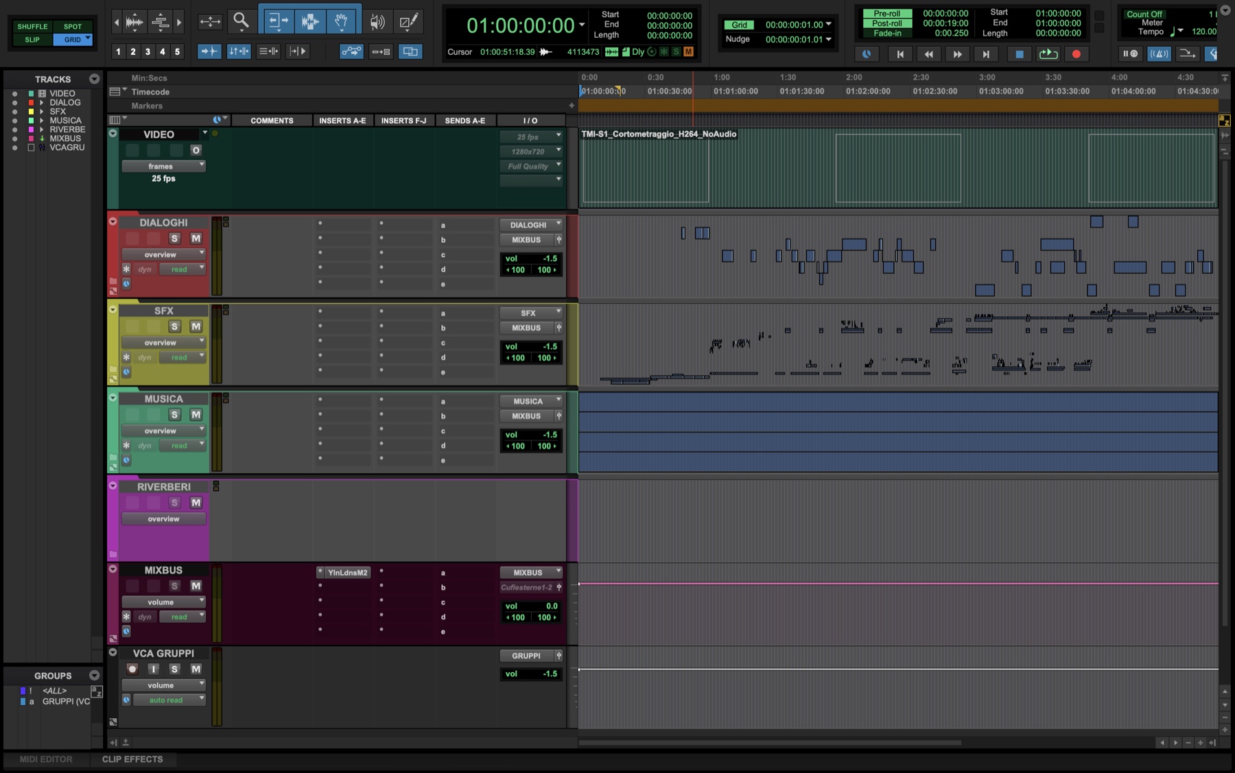 La finestra Edit di Pro Tools con i gruppi chiusi: VIDEO, DIALOGHI, SFX, MUSICA, RIVERBERI, MIXBUS e VCA GRUPPI, e in alto il timecode fermo su 01:00:00:00.